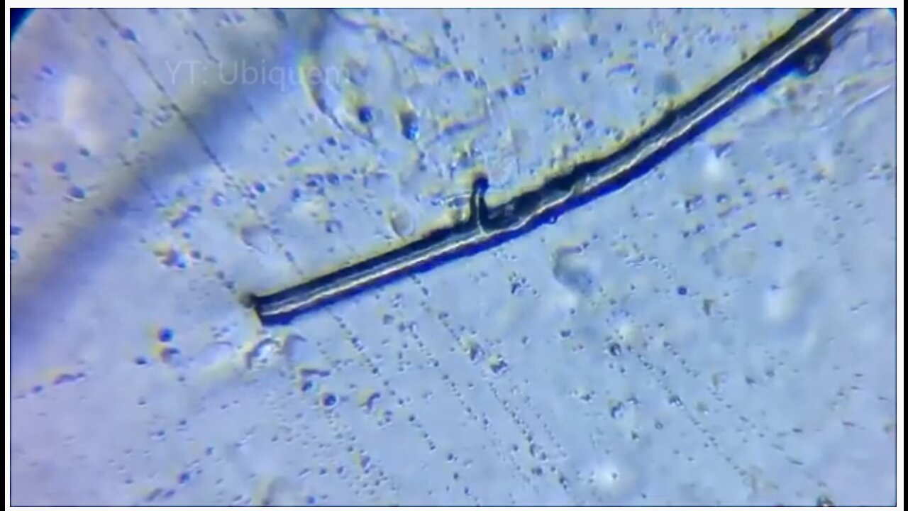 PCR Test Swab Look INSIDE the Swab-Spikes a delivery system since 2006