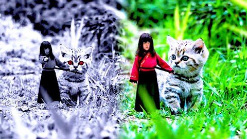 Cute and charming tiger cub