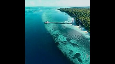 The Beauty of the Wakatobi sea