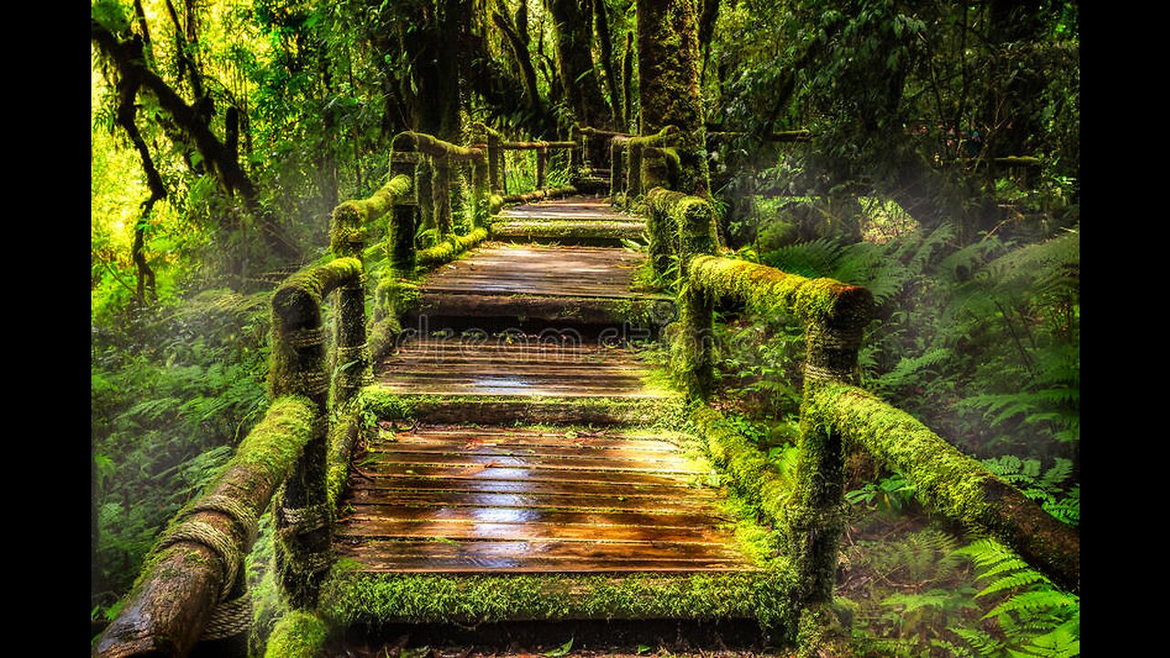 Beautiful images with relaxing music