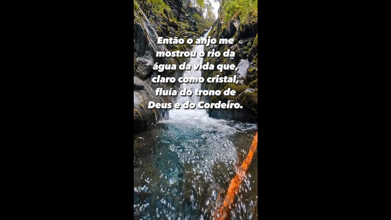 Rios de águas vivas sobre sua vida ! - Rivers of living waters over your life, renewing everything!