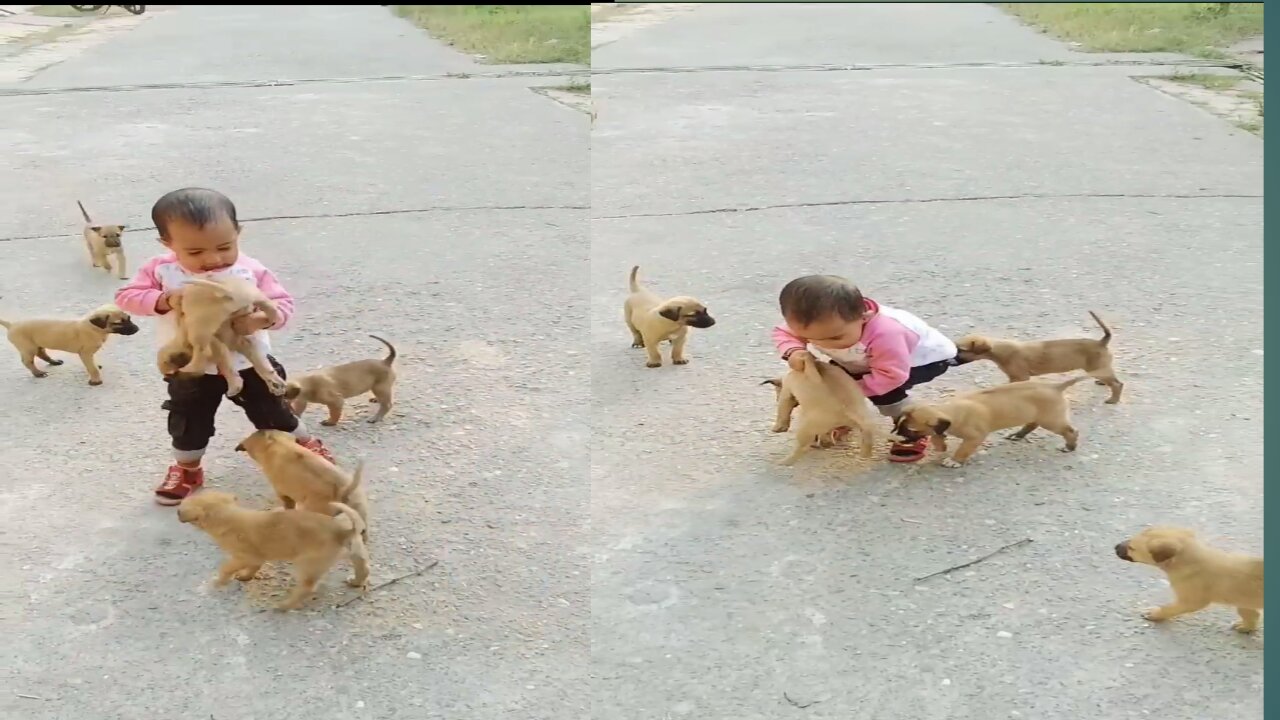 cute baby play with cute puppy🐕🐕🐕 #shorts #viral #comedy #puppy #dog #dogsaung