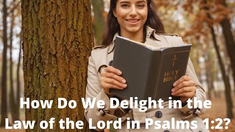 How do we delight in the Law of the Lord in Psalms 119?