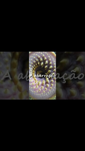 A ABERRAÇÃO - Nanohorrores em #shorts