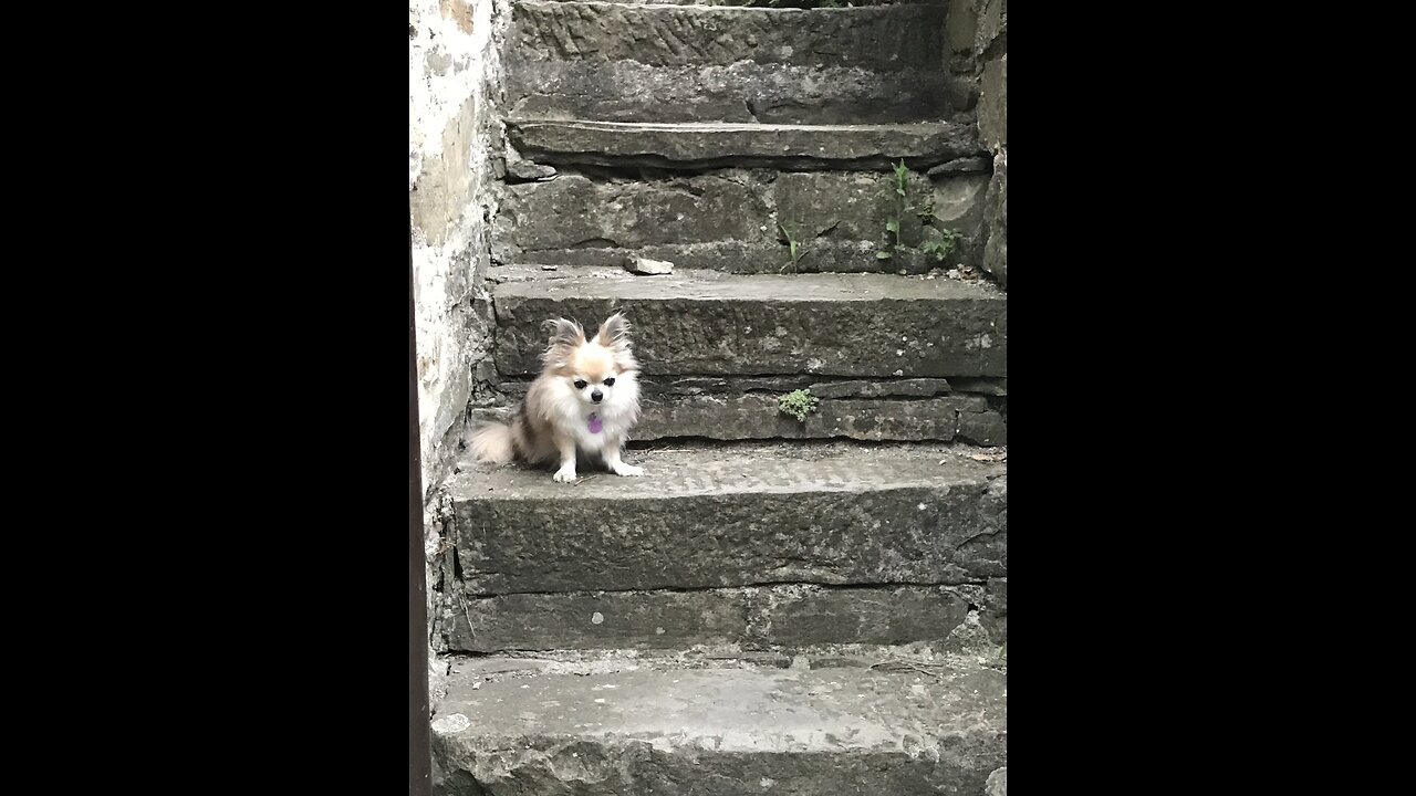 Lucrezia against the stairs