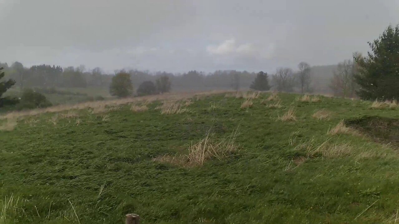 Upstate NY Snow Flurries 5:30 pm May 9, 2020 after HEAVY SNOW last night. Evil Cuomo Geoengineering!