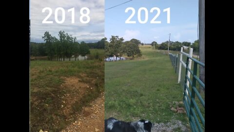 Results of Regenerative Pasture management.