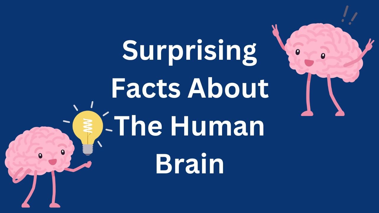 Surprising Facts About the Human Brain #BrainFacts #Neuroscience #Educational