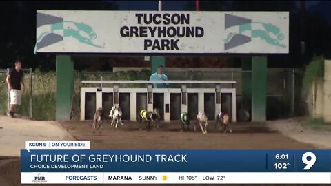 Closure of dog track could fetch new business