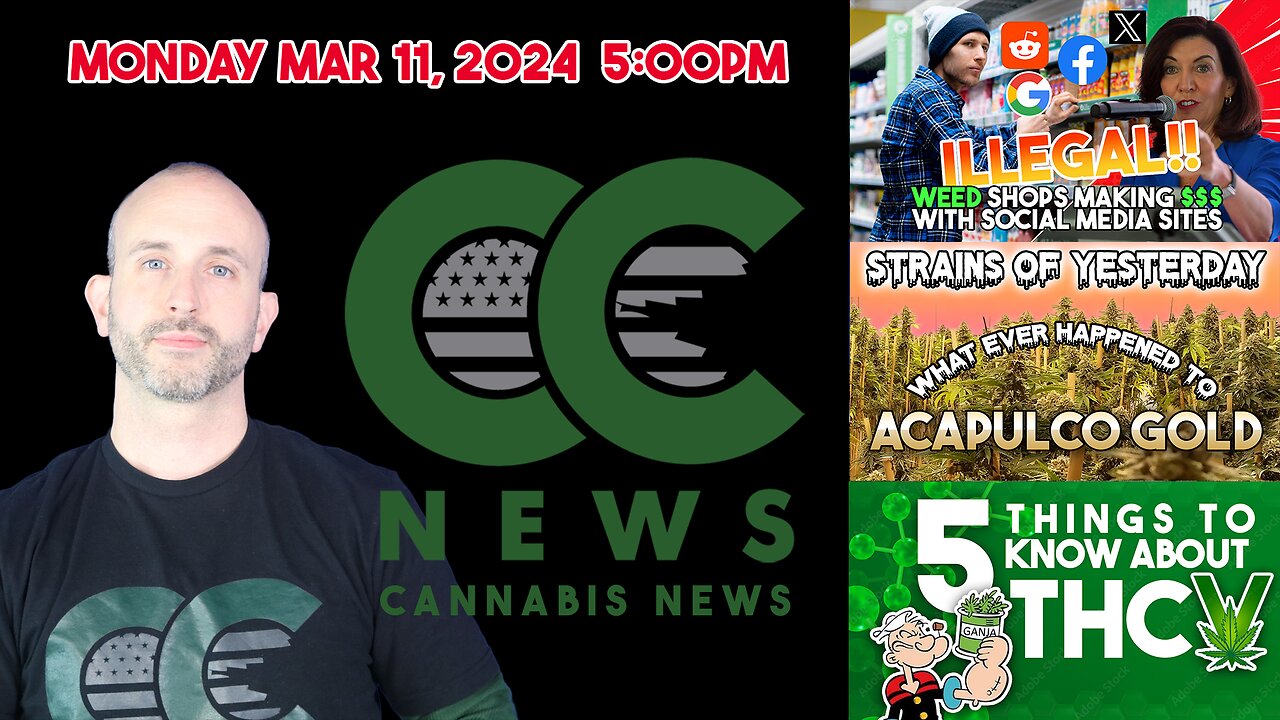 Cannabis News Update – Illegal NY Pot Shops Thriving, Strains from Yesterday Accapulco Gold , ..THCV