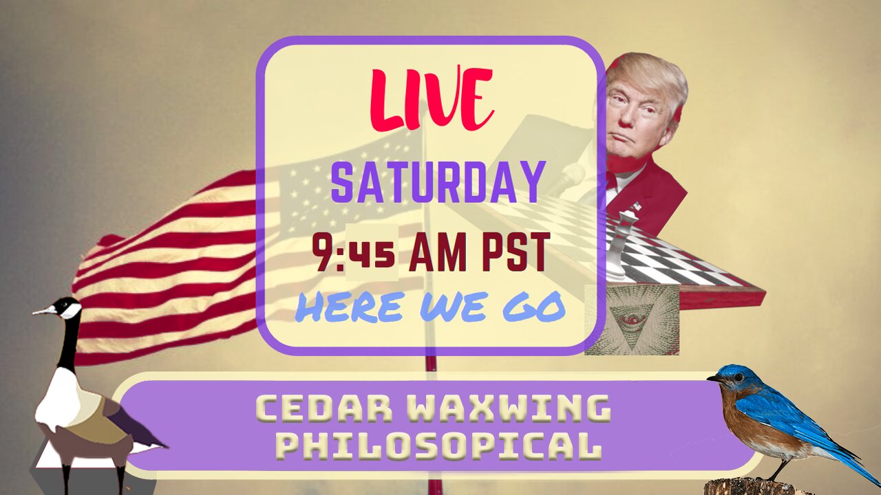 Saturday *LIVE* Cedar Waxwing Philosophical