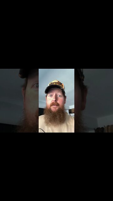 Shop cat Chronicles… The life, it’s hard