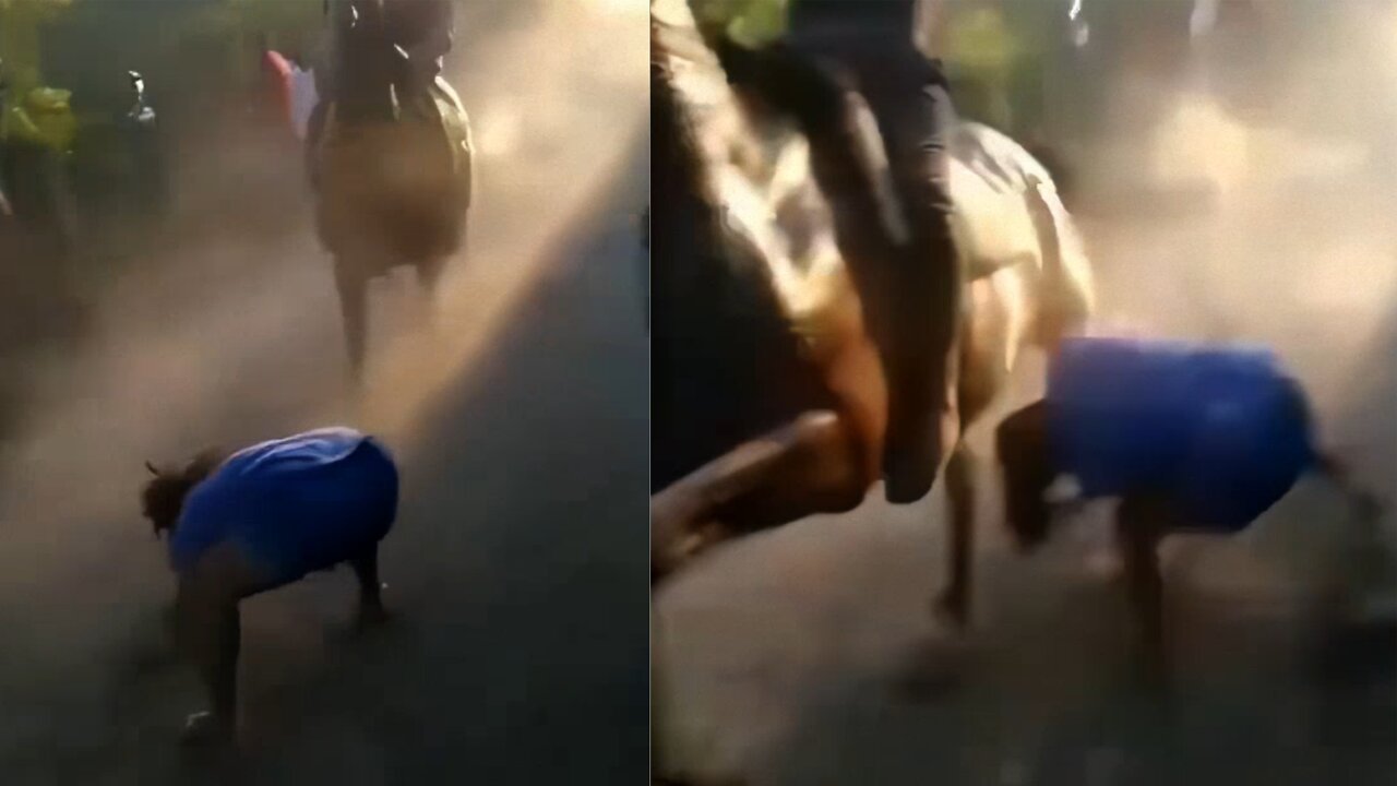 horse race gone wrong