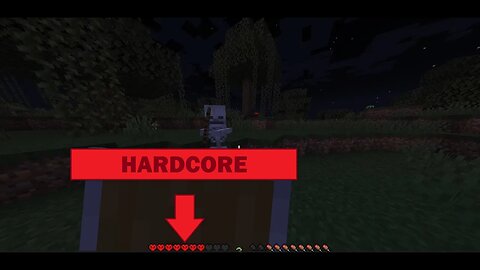 Minecraft Hardcore