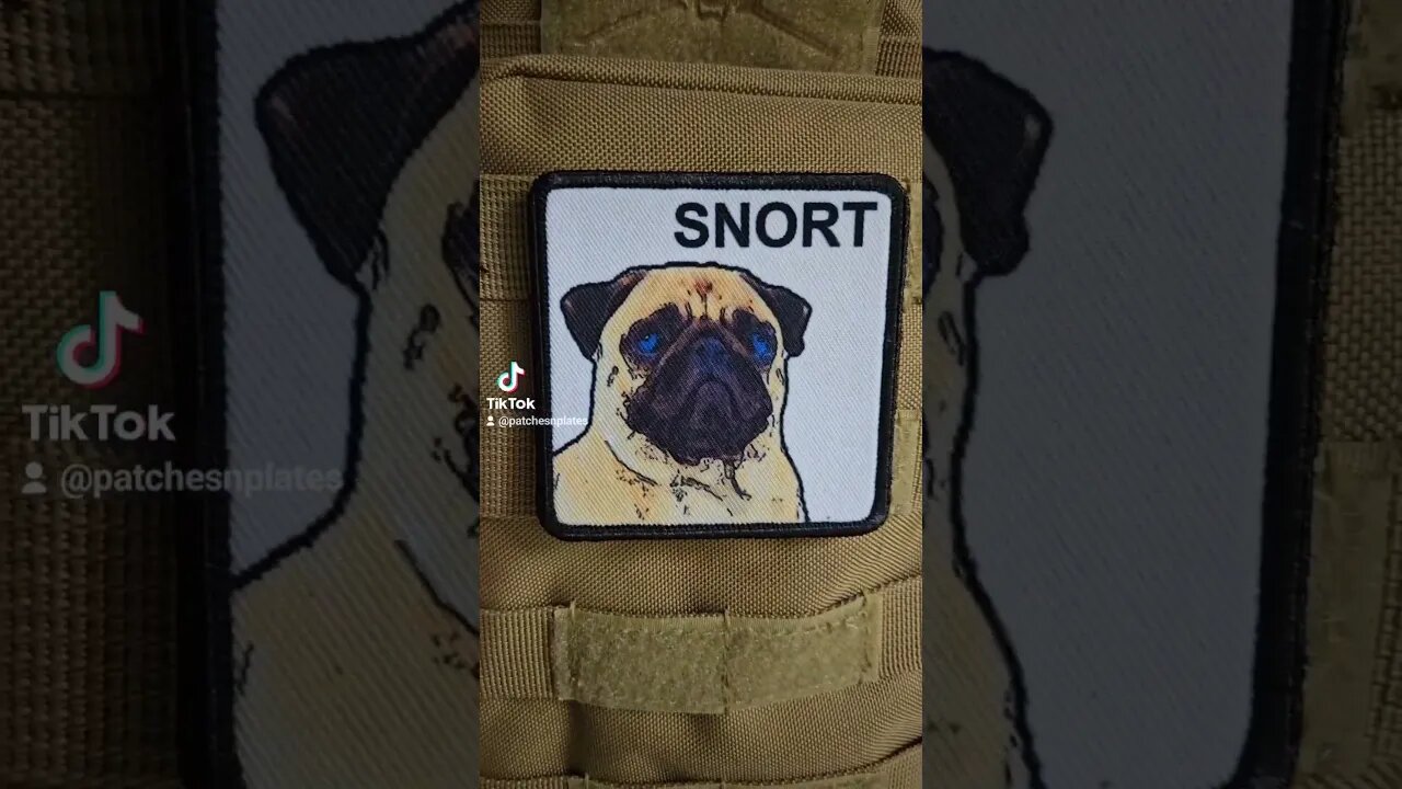 I love pugs and they go snort #shorts #pugs