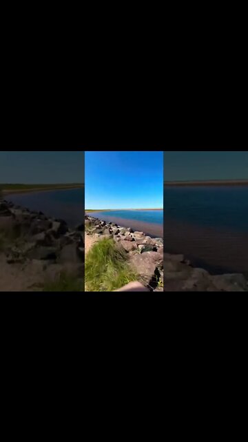 A path to avoid the flooded part of the beach