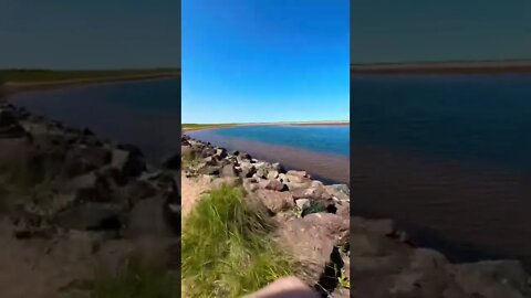 A path to avoid the flooded part of the beach