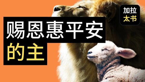 【大鸟 读经分享#3】 耶稣 基督 赐恩惠和平安的主 加拉太书 1:3