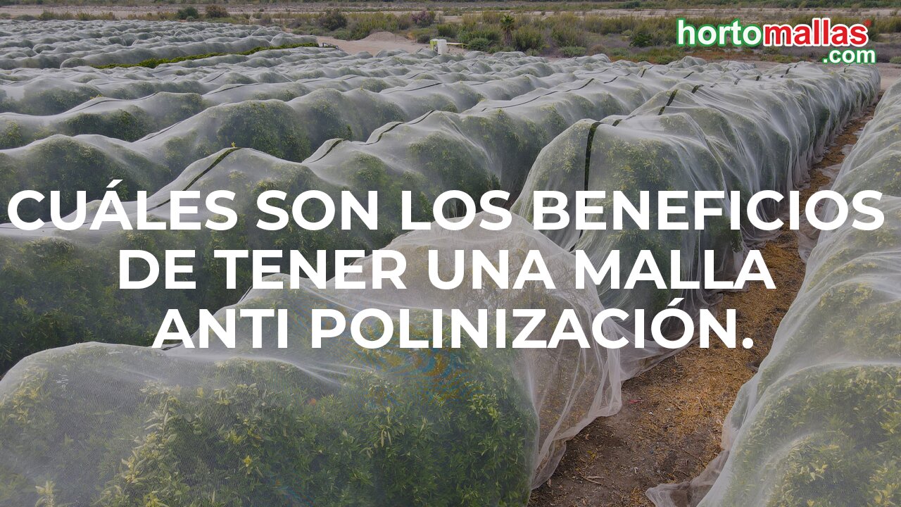 Cuáles son los beneficios de tener una malla anti polinización.