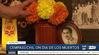 A look at why the marigold, or cempasúchil, is the traditional flower of the dead