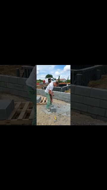 #shorts #2022 funny,prank,funjokes,dad jokes,funny memes,funny video,fun,laughing,funny animal,knock