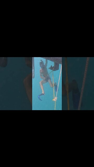 Clearing a crab pot line from our prop #sailing #crab #underwater