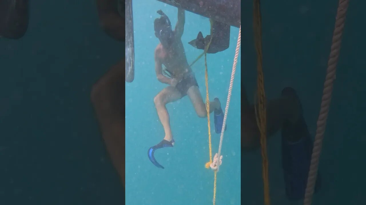 Clearing a crab pot line from our prop #sailing #crab #underwater