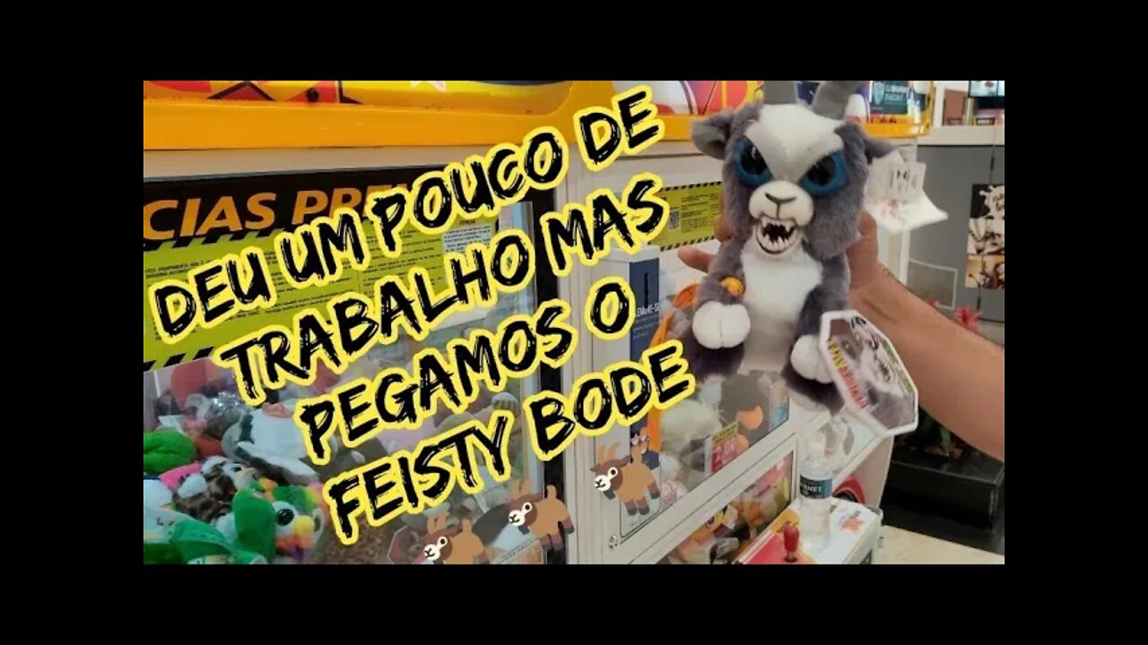 MAIS UM FEISTY PETS BODE 🐐🐐🐐 VEIO PARA CASA 👏👏👏