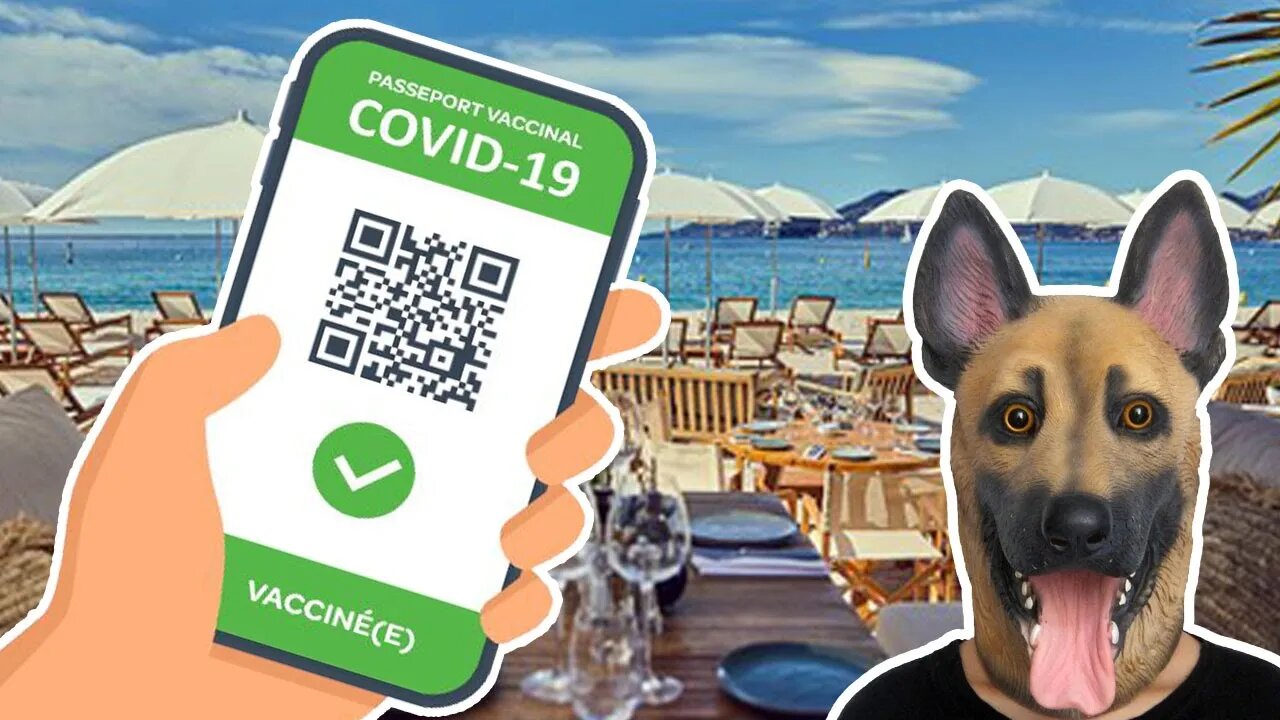 #passsanitaire Des chiens dans les bars et restaurants à Cannes !