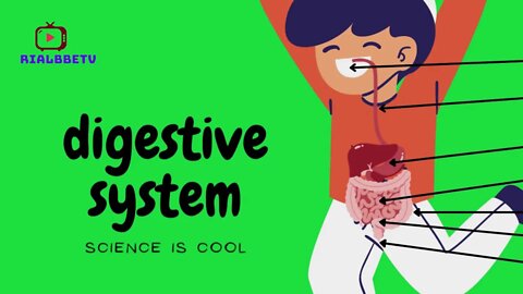 Science is cool - Digestive System