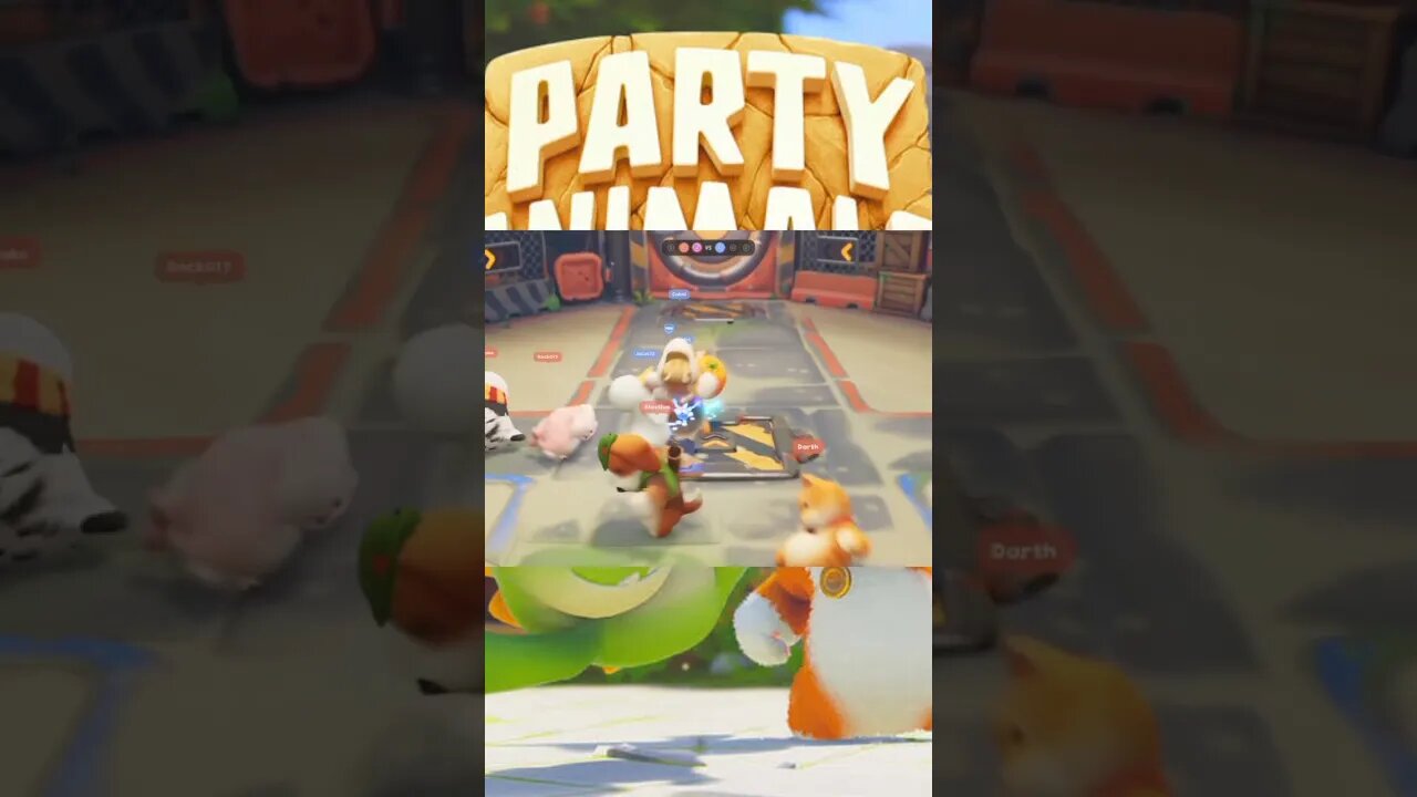 Animal Party