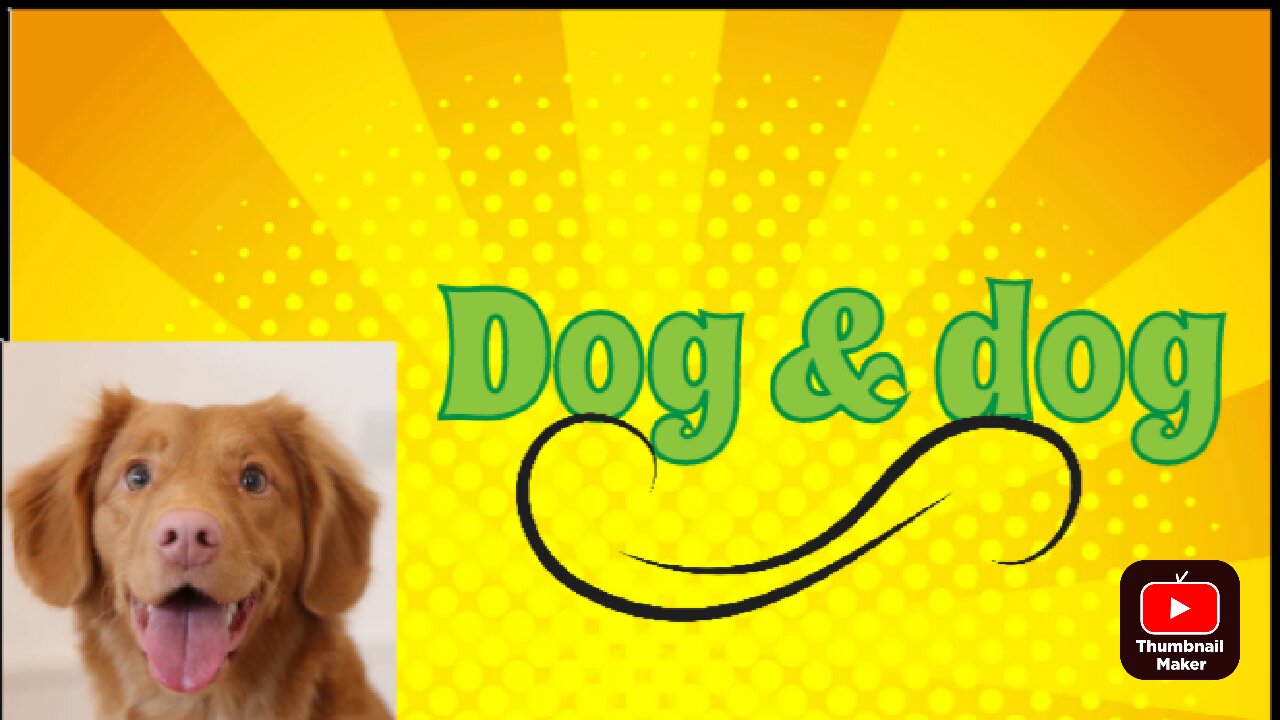 Dogs are cute