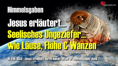 Seelisches Ungeziefer wie Läuse, Flöhe und Wanzen... Jesus erklärt ❤️ Himmelsgaben durch Jakob Lorber