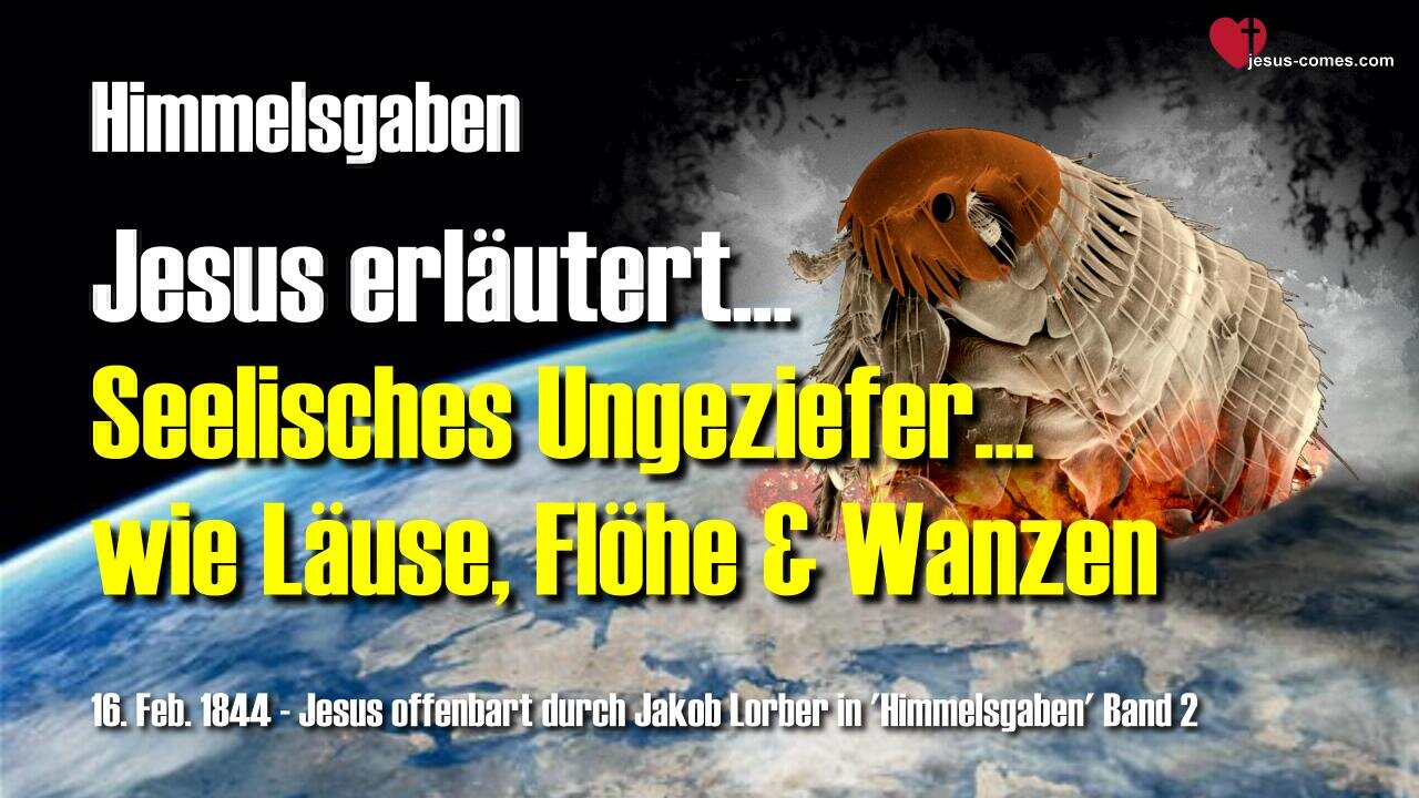 Seelisches Ungeziefer wie Läuse, Flöhe und Wanzen... Jesus erklärt ❤️ Himmelsgaben durch Jakob Lorber