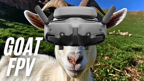 FPV Drone Crash - Steinmetz Family Farm #goats