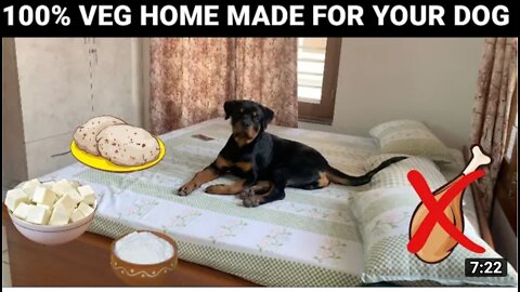 100% veg homemade food for your dog