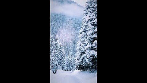 Winter Wonderland #viral #shorts #travel