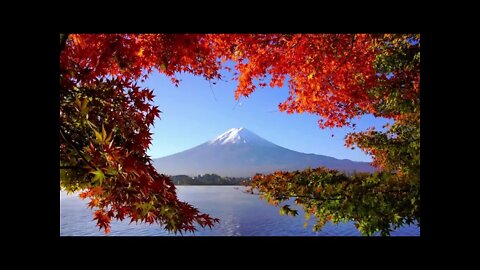 Meditation Relax aVideo Beautiful Relaxing Music for Stress Relief Meditation Sleep Relaxati
