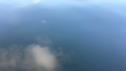 clouds in the water