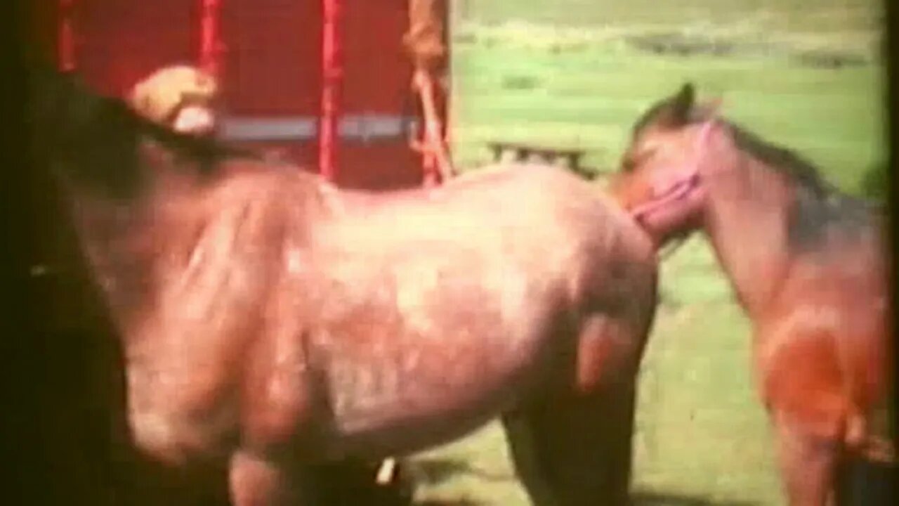 1977 May & Leo Reel, Boot & Bottle Riding Club, Cody Wy