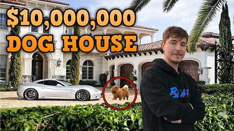 WORLDS MOST RICHEST PETS - Top 9 Wealthiest Pets in the World