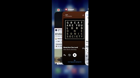 ❤️❤️❤️❤️🦁❤️❤️❤️❤️