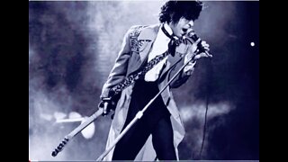 PRINCE: The creativity machine