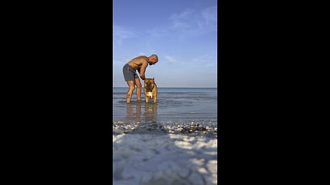 MASSIVE PitBull gets his “salty bath” on Sunday Funday! 🦁☀️🌊