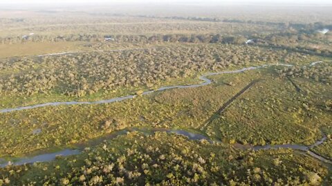 Aerial of Marsh