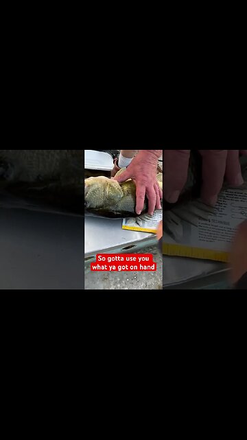 Big Bass Hooking a 22 inch #bubba #fishingvideo #bass