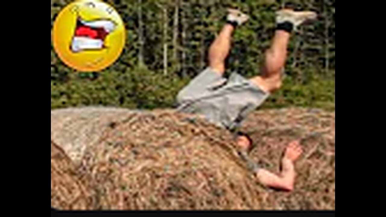 TRY NOT TO LAUGH 😆 Best Funny Videos Compilation 😂😁😆 Memes PART 1 #funny #jokes