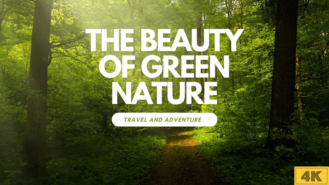 The Beauty of Green Nature 4k travel and adventure