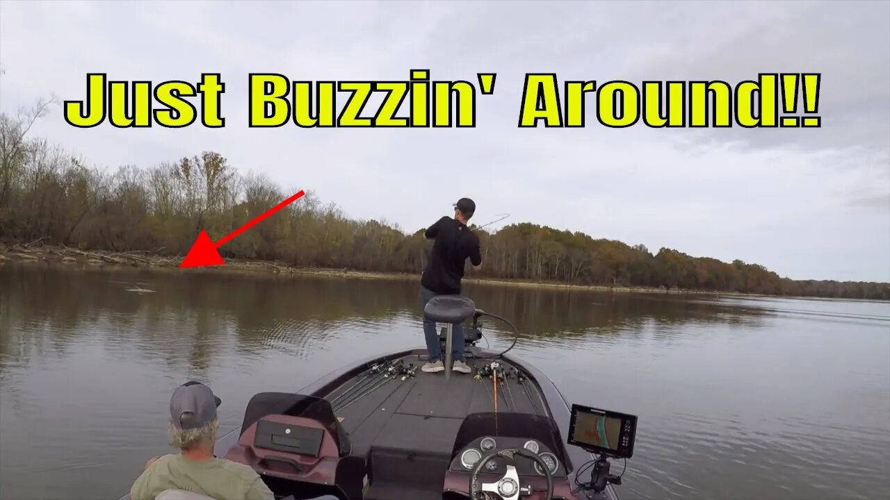 Buzzbait Fishing On The Stones River!!! #buzzbait #bassfishing #riverfishing