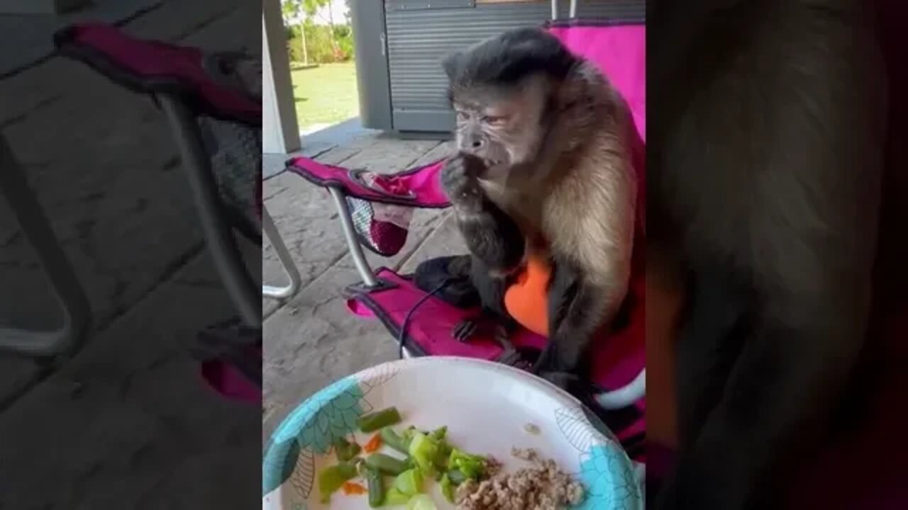 Breakfast on the porch!